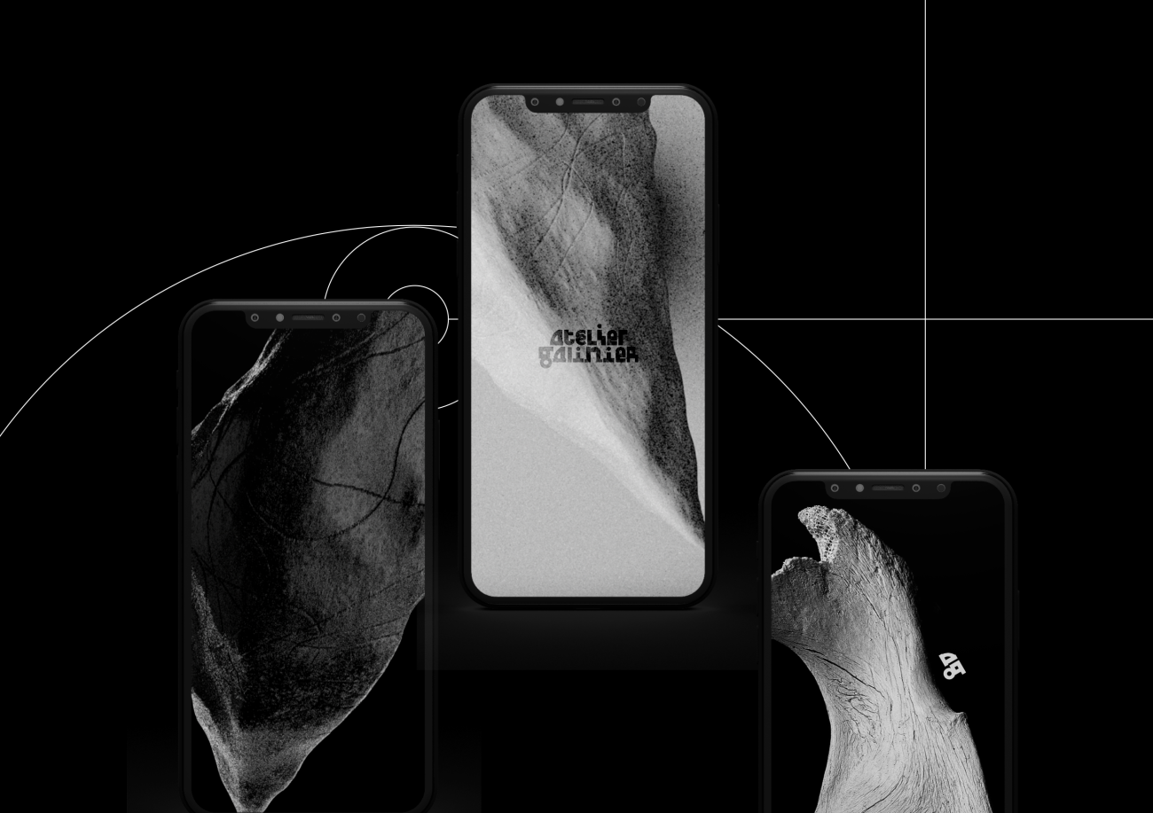 Illustration du projet Atelier Galinier